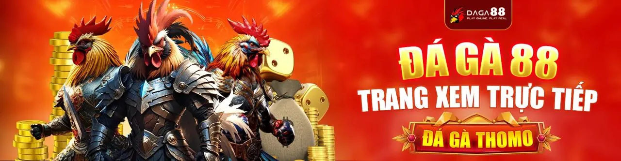 Hình ảnh banner hỗ trợ khách hàng vswin chính thức